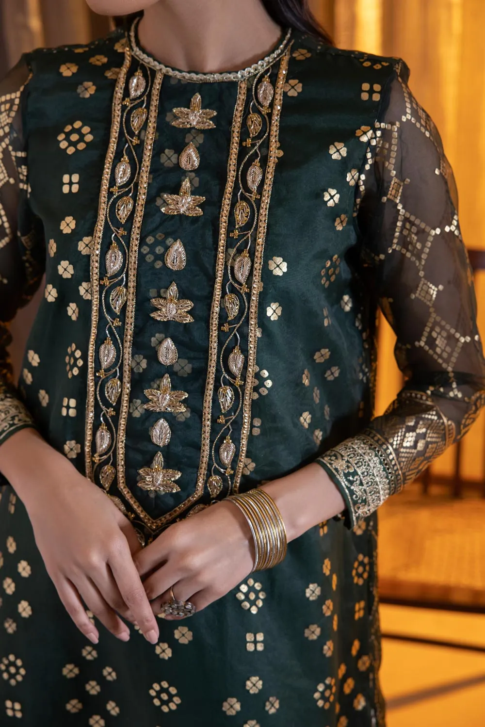 2 Piece - Embroidered Organza Suit