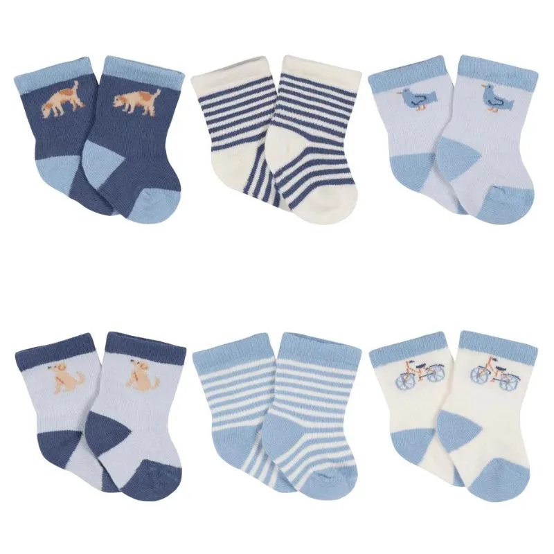 Crew Socks - 6 Pack