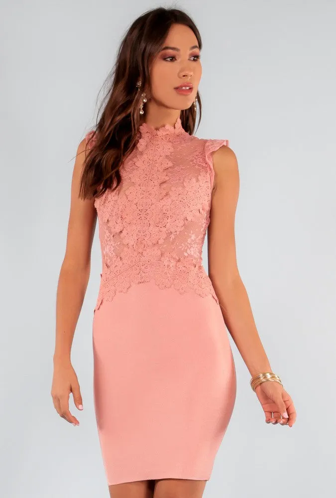 Scallop Sheer Lace Bodycon Dress