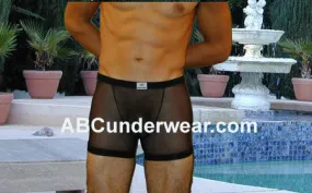 Sheer Boxer Brief